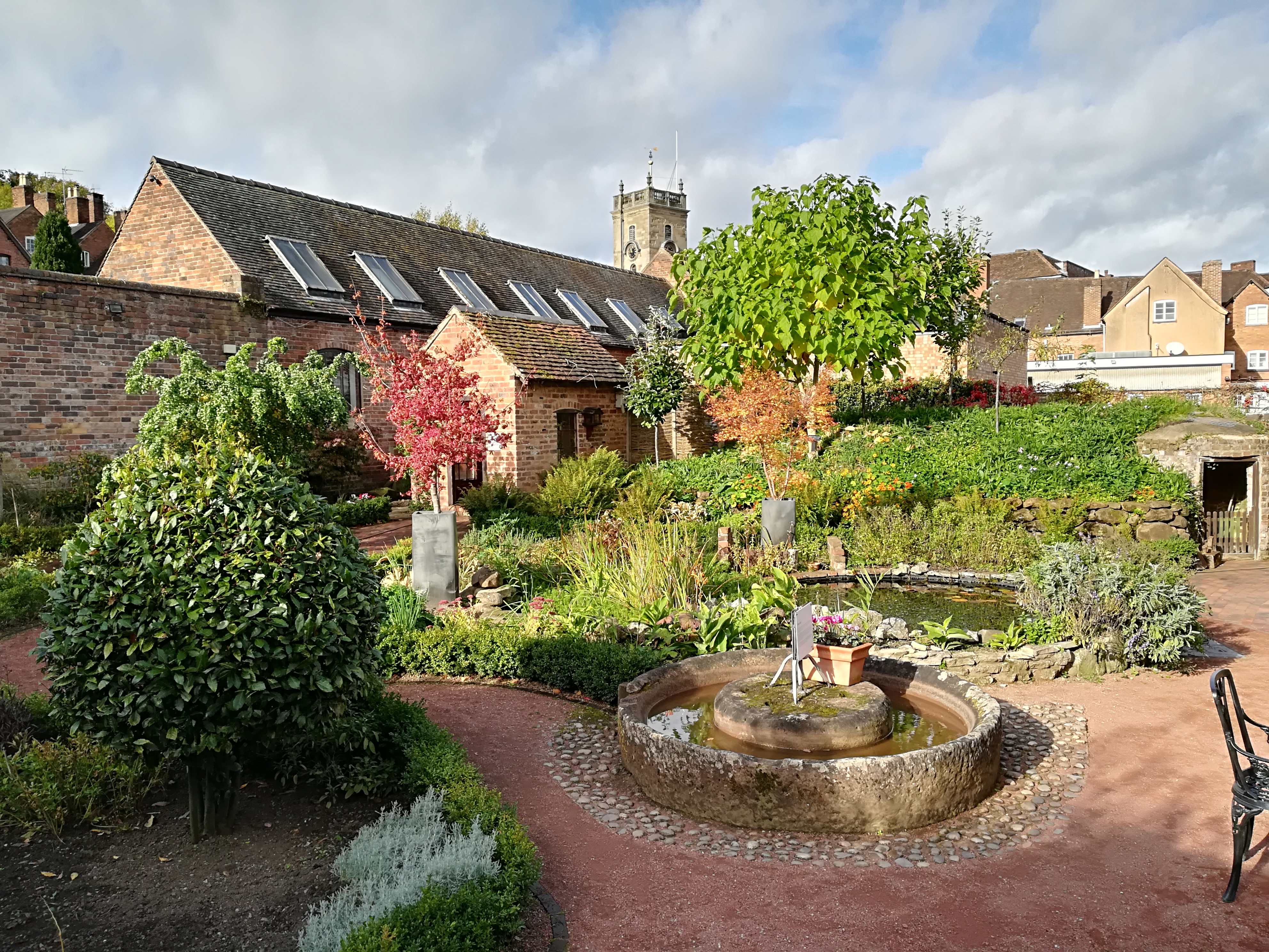 Herb garden in autumn sun
